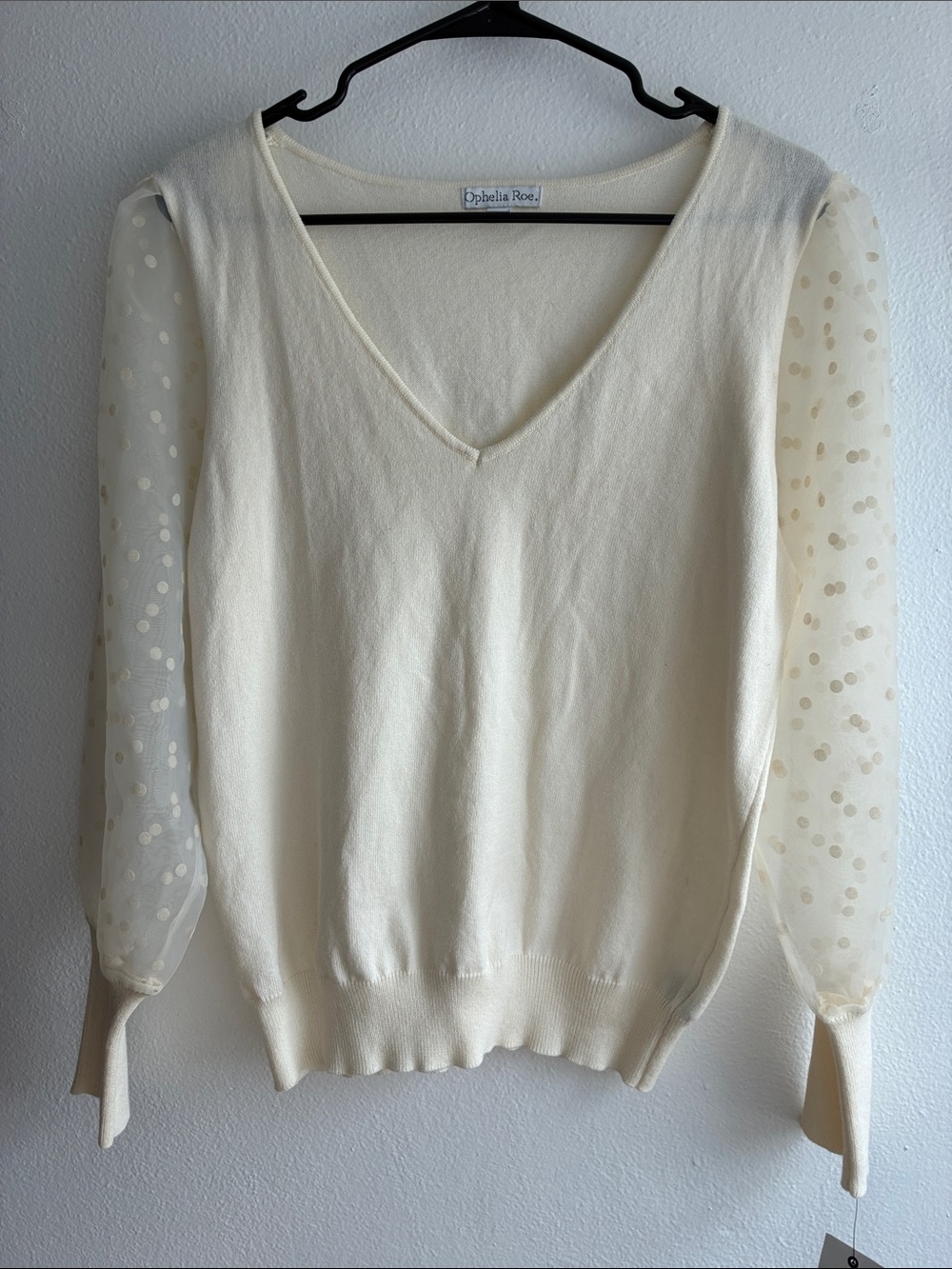 Cream V-Neck Sweater with Flock Dot Sheer Sleeves